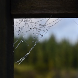 2017-03 New Zealand/Waiotapu/DSC_0238.JPG